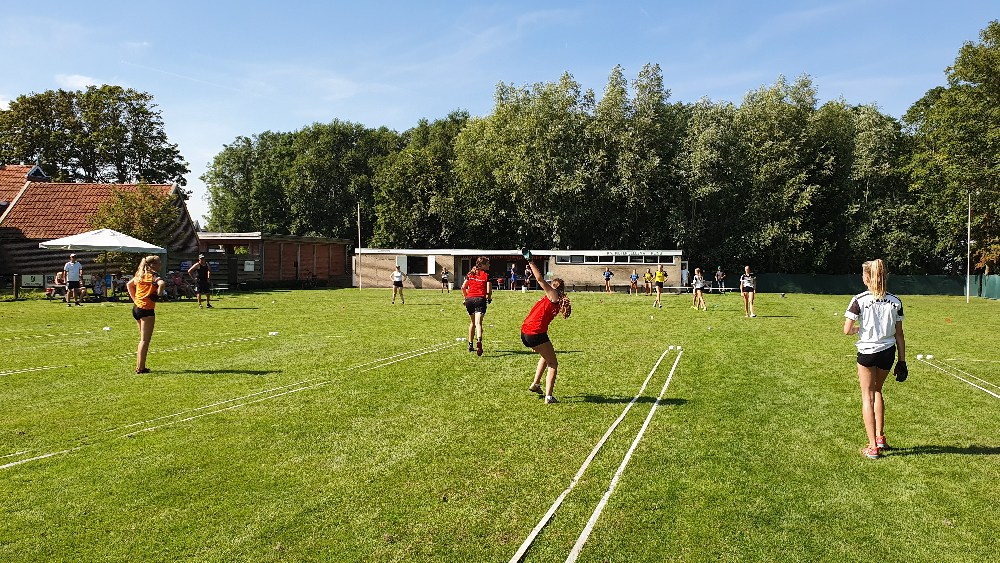 mini-20190825_115616