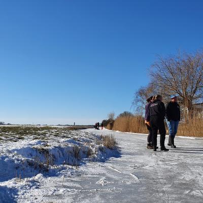 Mini 20210213 115031